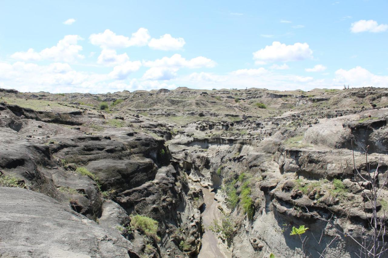 Pachingo Tatacoa Desert La Victoria  Exteriör bild